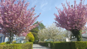 Гостиница Camping Caravaning Les Cerisiers Berck sur mer  Вертон